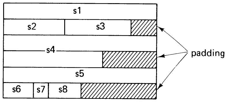 Fig. 1.8 Representation of a packed record.