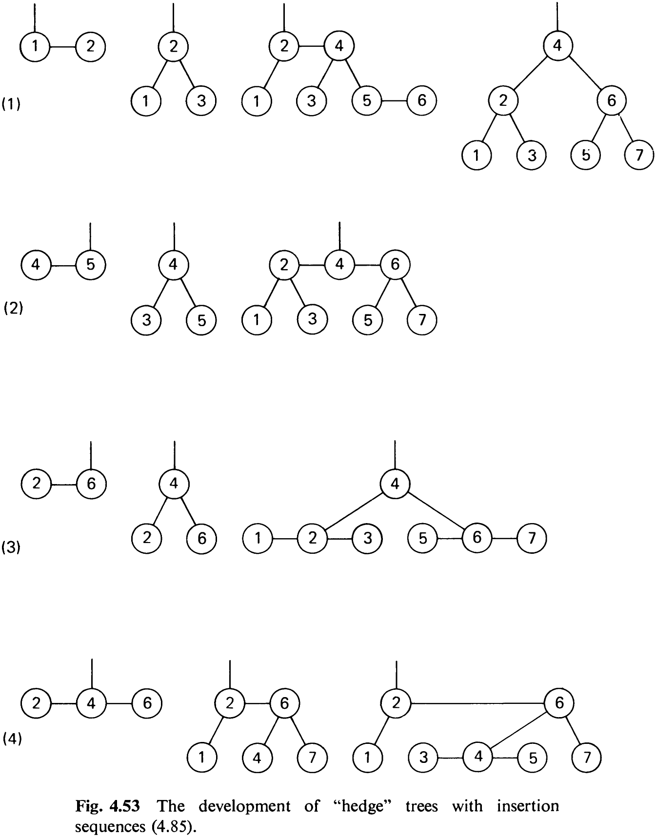 Fig. 4.53 The development of “hedge” trees with insertion